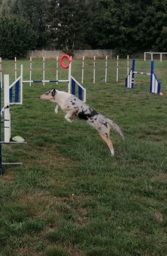 Obtention du PASS Agility